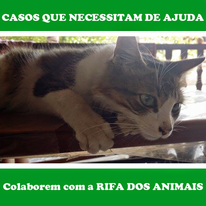 RIFAS DOS ANIMAIS