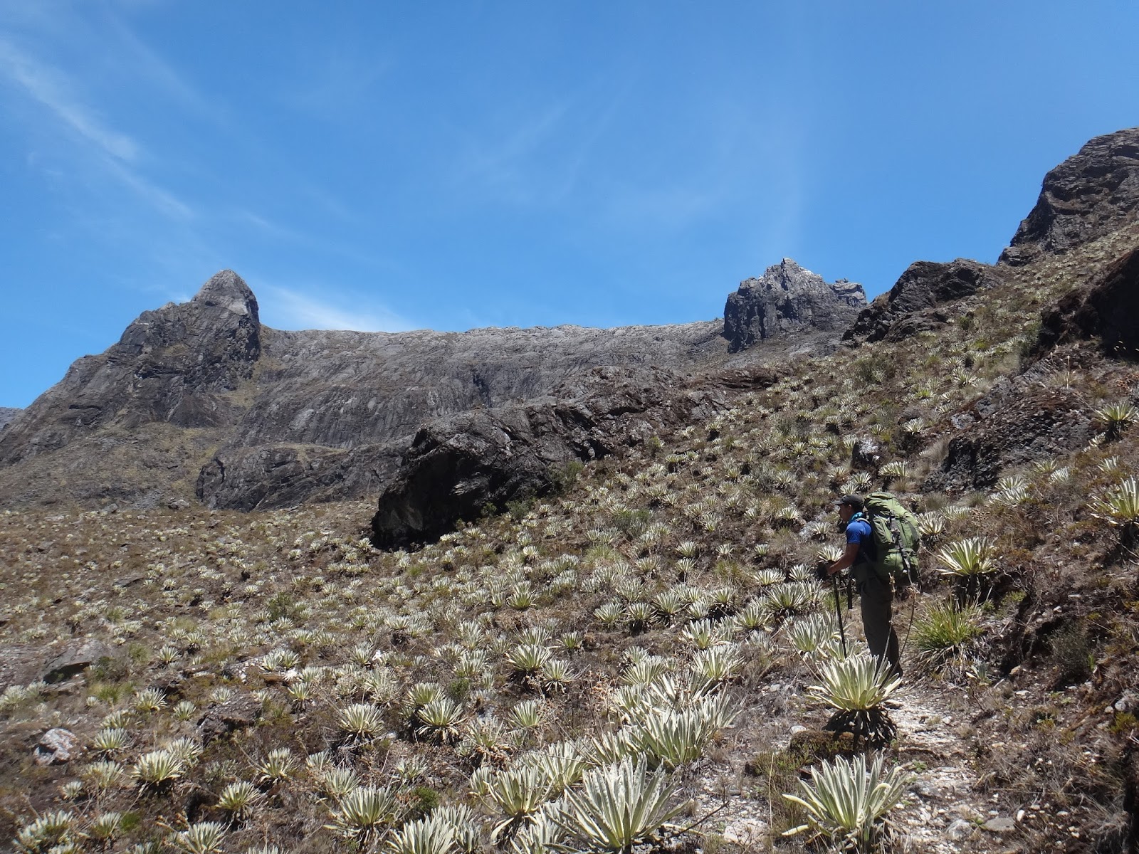 CURSO DE BAJA Y MEDIA MONTAÑA 2015