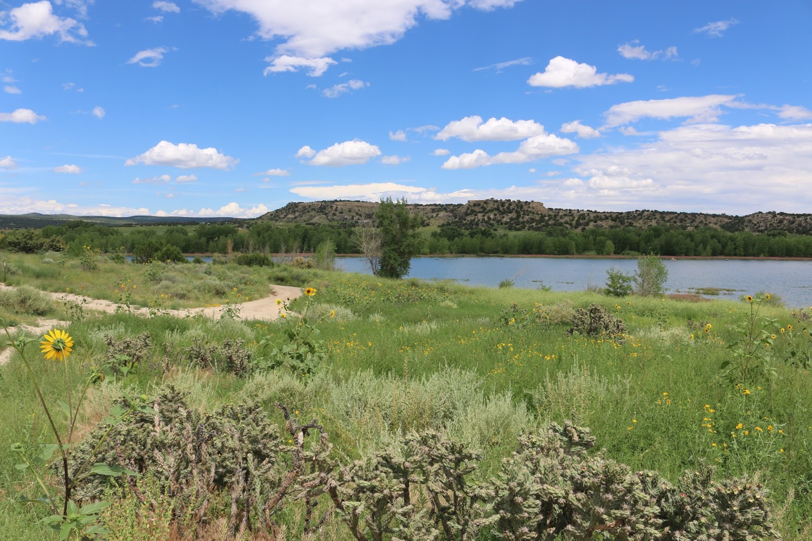 The Lee Van Cleef Blog Location Brush Hollow Reservoir