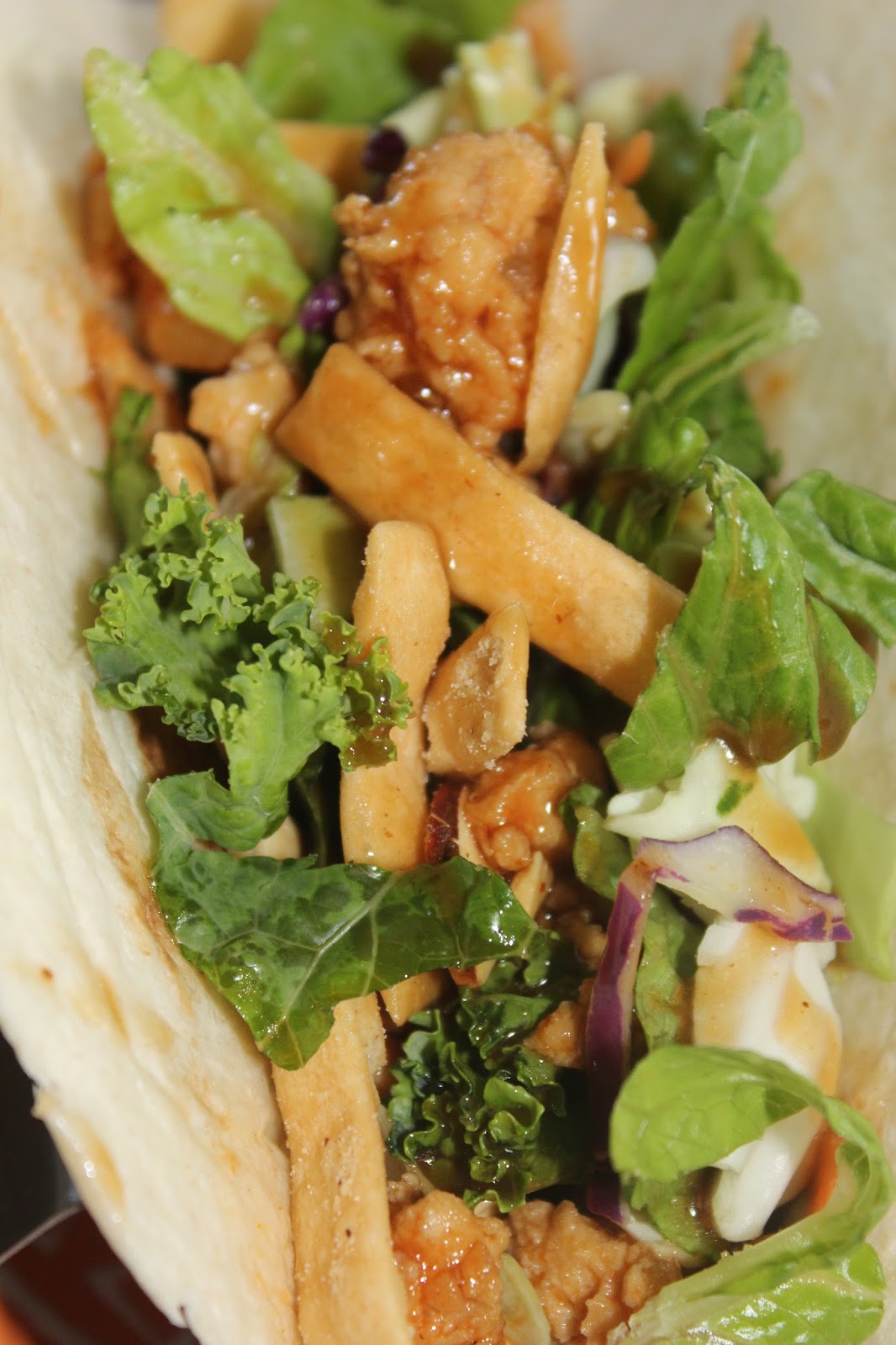 Living on Cloud Nine ASIAN CHICKEN SOFT TACOS