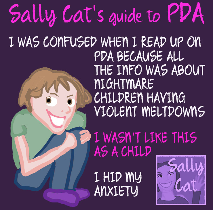 Sally Cat PDA An Exploration of PDA Masking