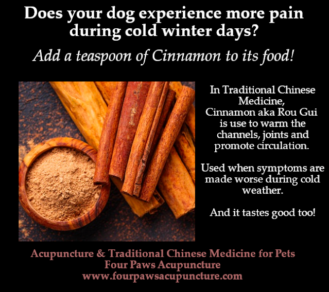 Something to bark about! TCM Herbs in Your Kitchen for Dogs