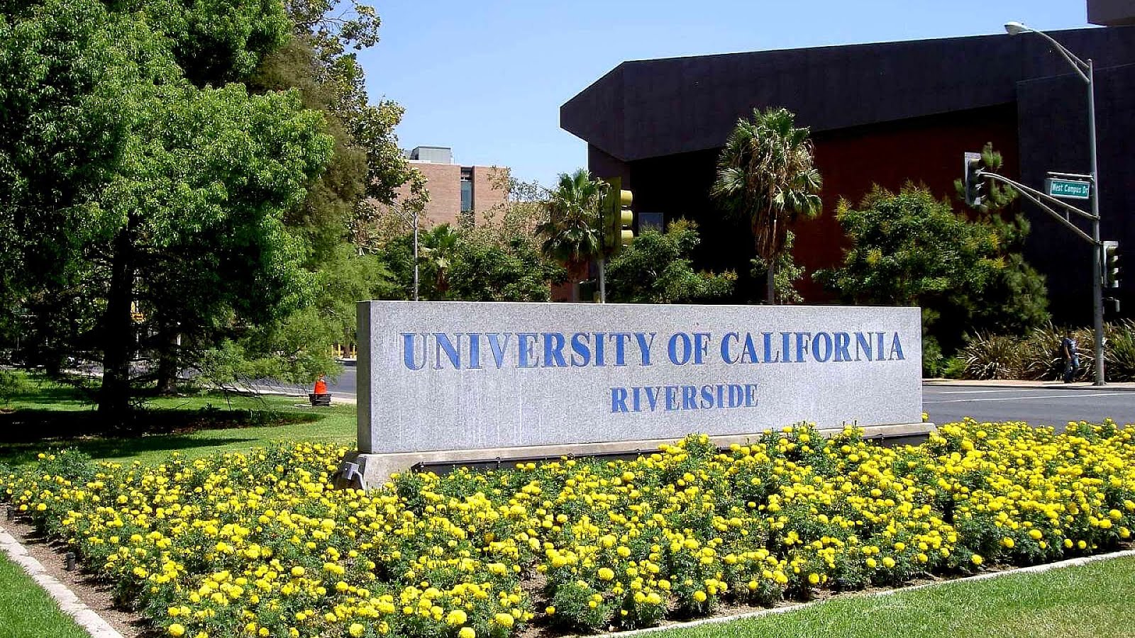 California School of Professional Psychology College College Choices