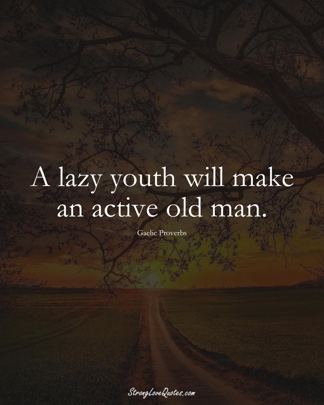 A lazy youth will make an active old man. (Gaelic Sayings);  #aVarietyofCulturesSayings