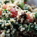 Salade de quinoa BLT