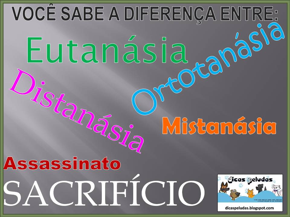eutanasia e distanasia