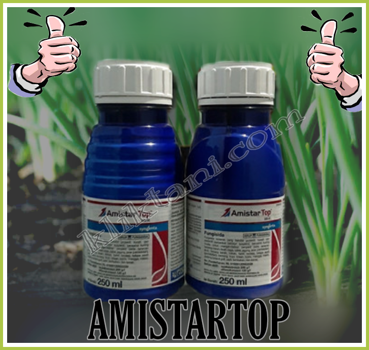 Keistimewaan Dan Fungsi Fungisida Amistartop 325 Sc Bagi Tanaman Kliktani Com