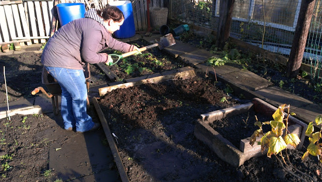 allotment