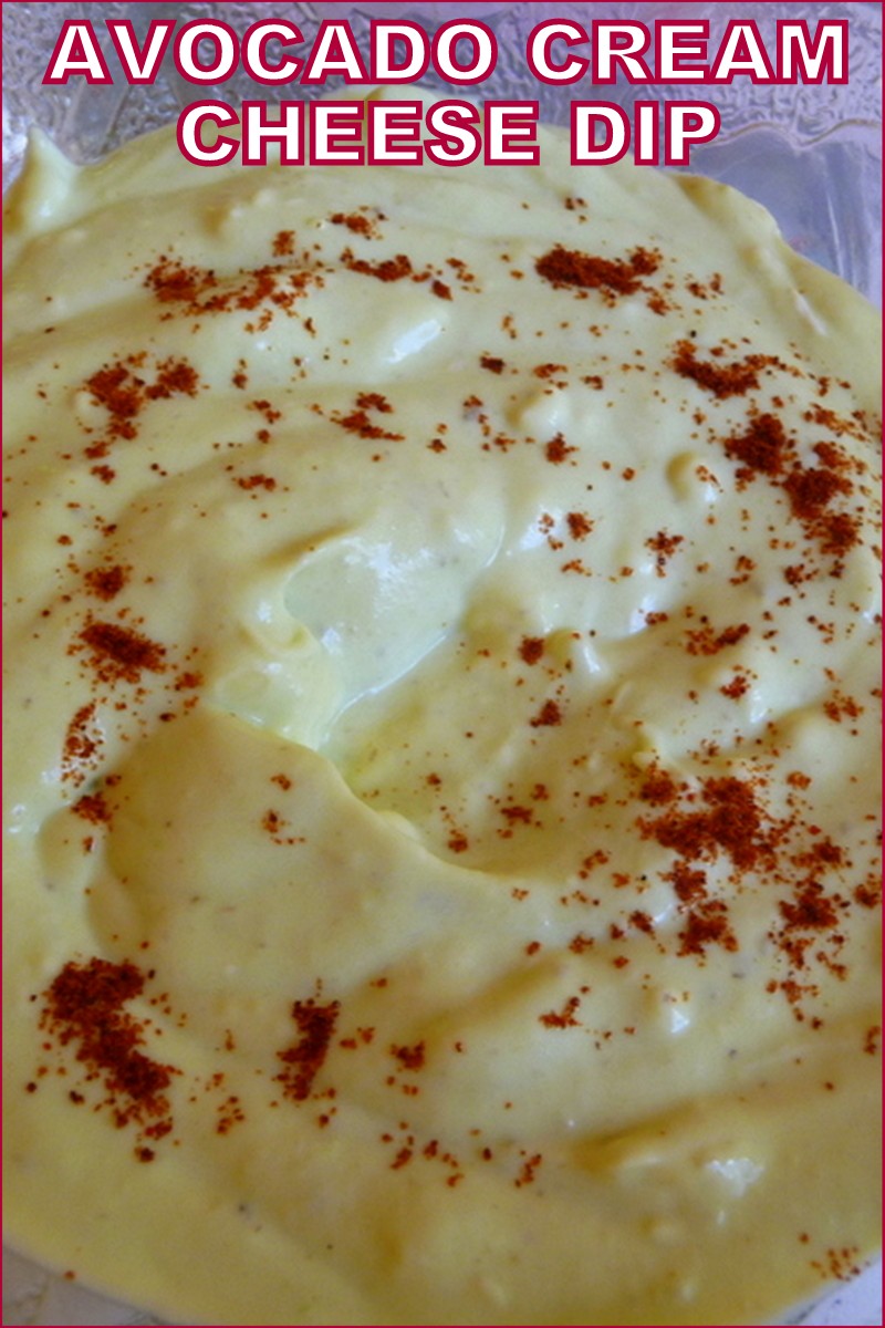 SPLENDID LOWCARBING BY JENNIFER ELOFF AVOCADO CREAM CHEESE DIP