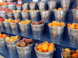 Farmer's market in Holland, Michigan