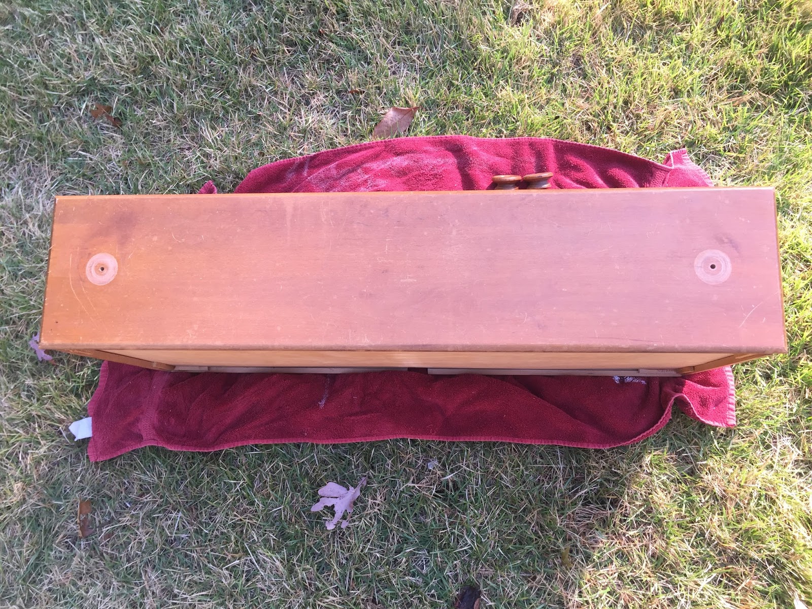 Drew Danielle Design DIY Cat Bed