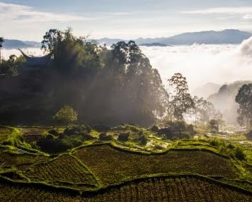 Tempat wisata di Toraja