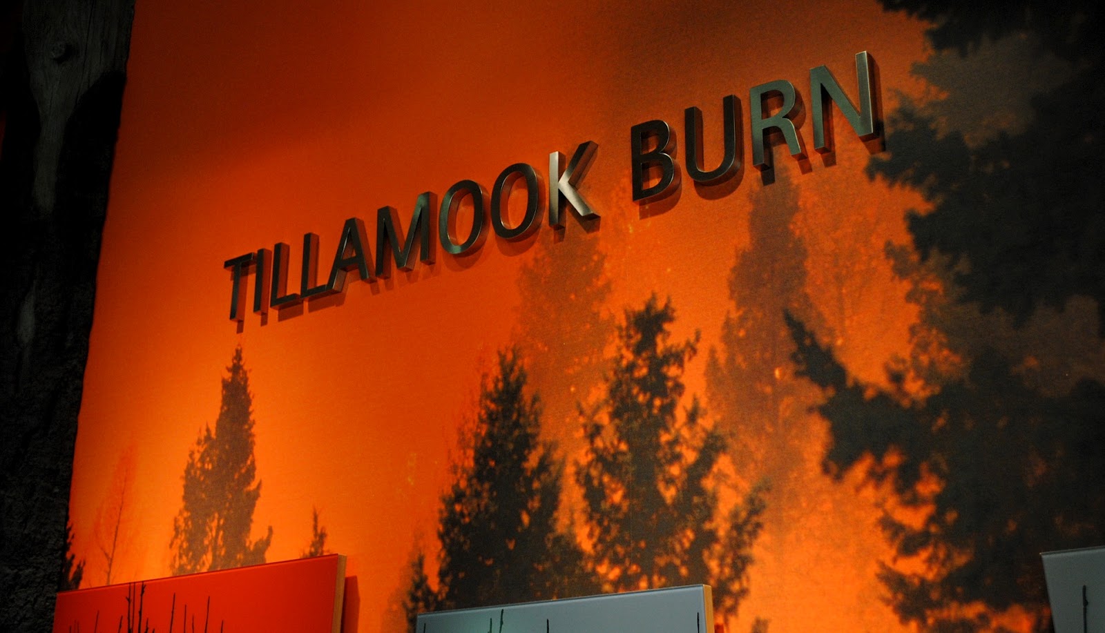 Aimee on the Mountainside Climbing Life's Mountain In the Heart of