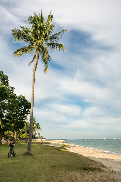 singapur, barvy, budovy, cestování, svět, east coast park