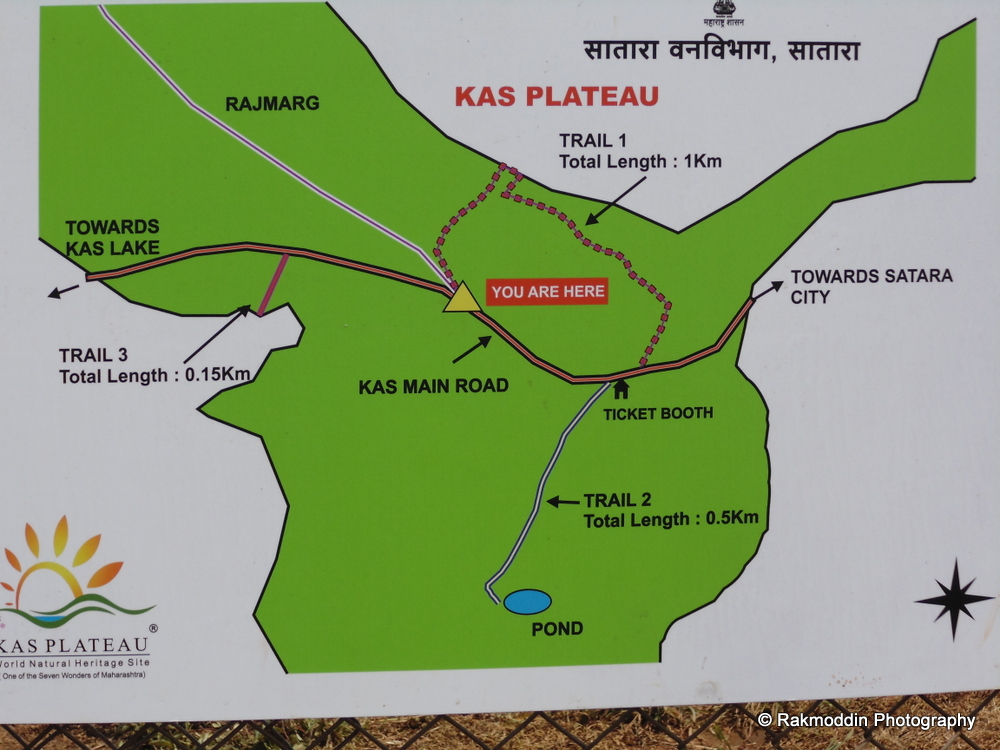 Kas Pathar Flowers valley in Maharashtra Rakmoddin's Travel Blog
