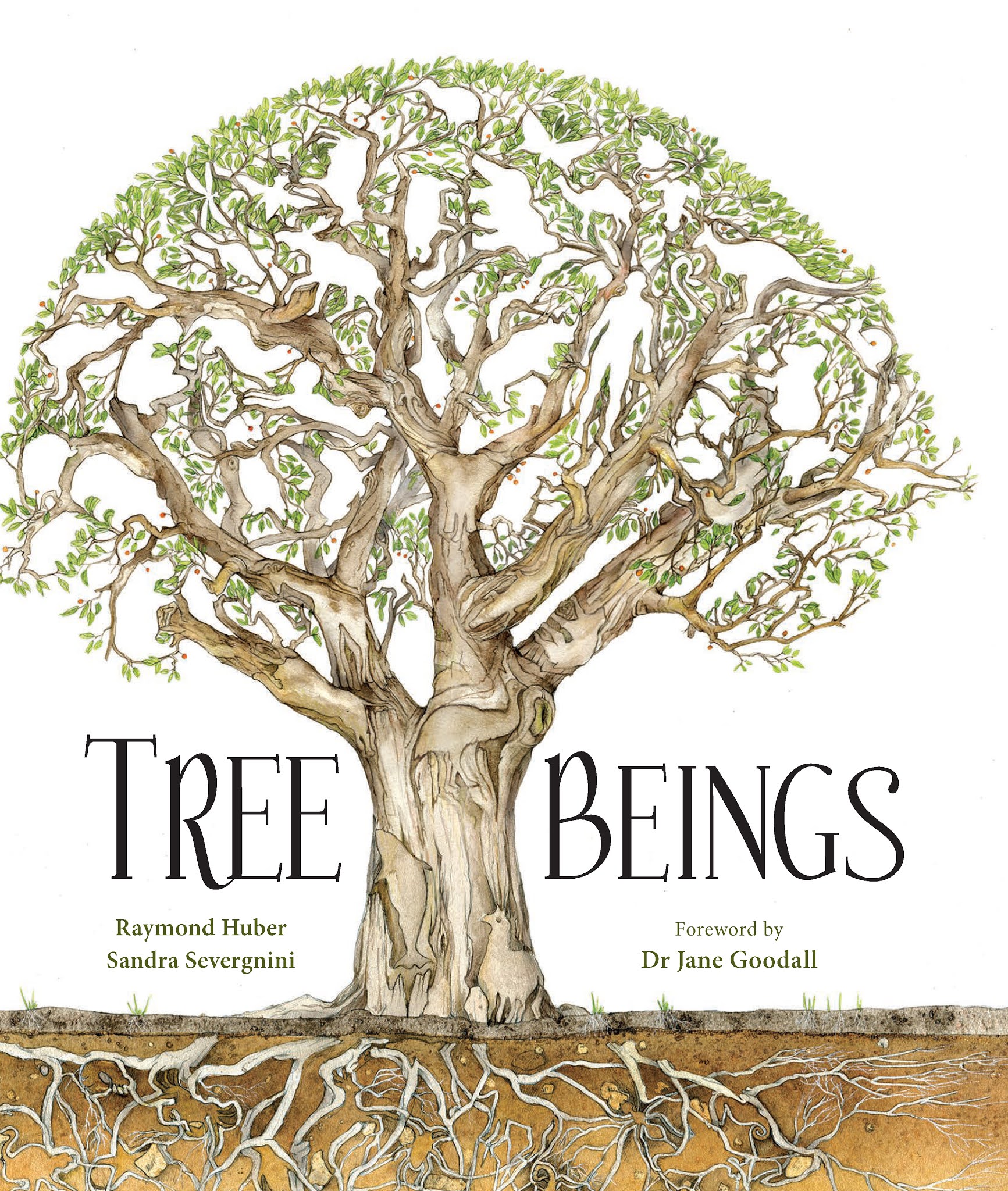 why is it called the tree of life brainly