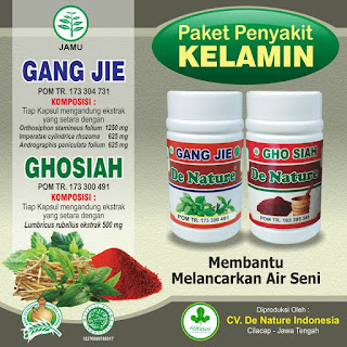 Obat Herbal Untuk Mengobati Sakit di Penis