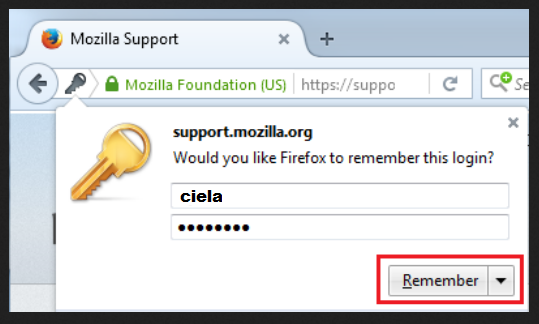 Mozilla support. Ненужные password.