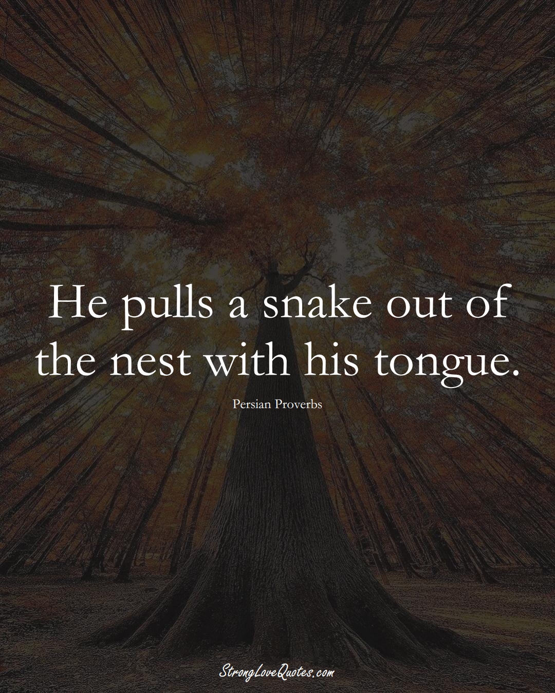 He pulls a snake out of the nest with his tongue. (Persian Sayings);  #aVarietyofCulturesSayings