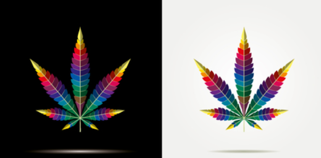 Cannabis Cannabis