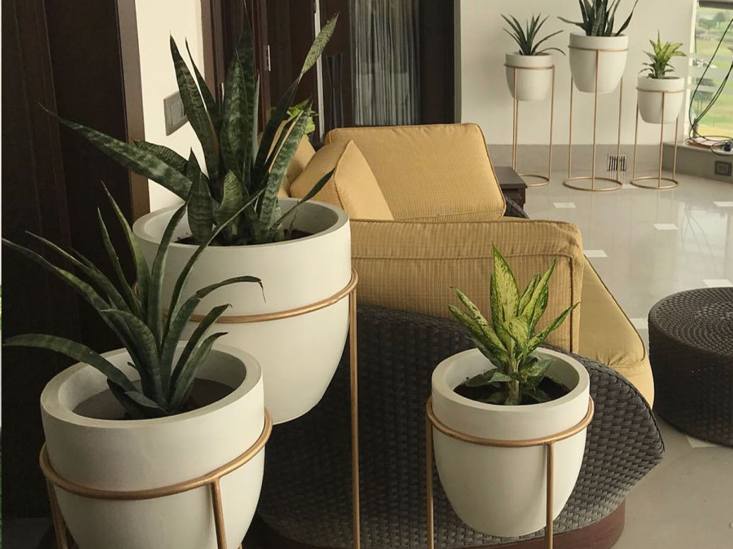 Fiber Pots Manufacturer in Delhi NCR for the decoration of plants