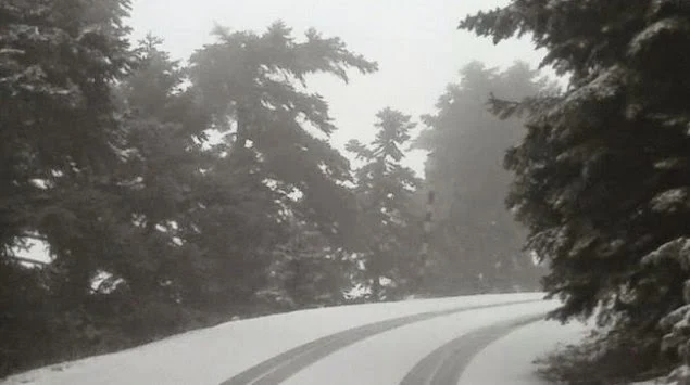 Έπεσαν τα πρώτα χιόνια στην Πάρνηθα! (ΦΩΤΟ)