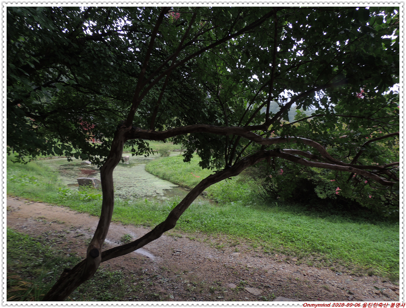 천축산 불영사 천축산 불영사