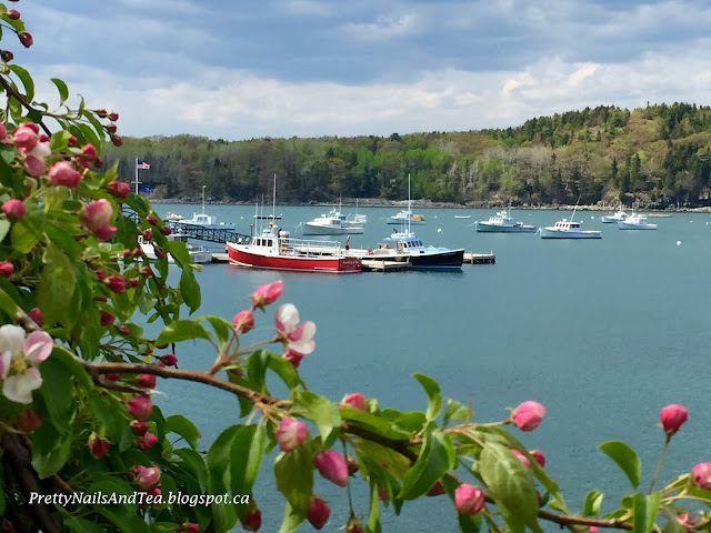 Bar Harbor Maine USA PrettyNailsAndTea