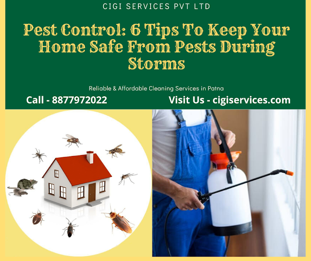 Pest ccontrol service in Patna