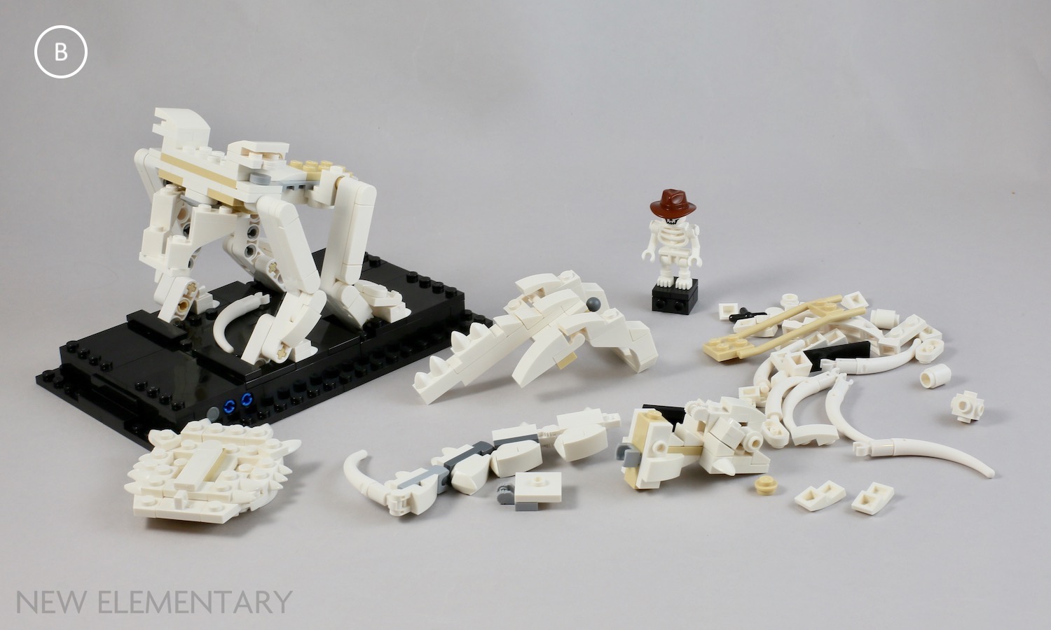 Gå forud Sig til side regulere LEGO® Ideas review: 21320 Dinosaur Fossils | New Elementary: LEGO® parts,  sets and techniques