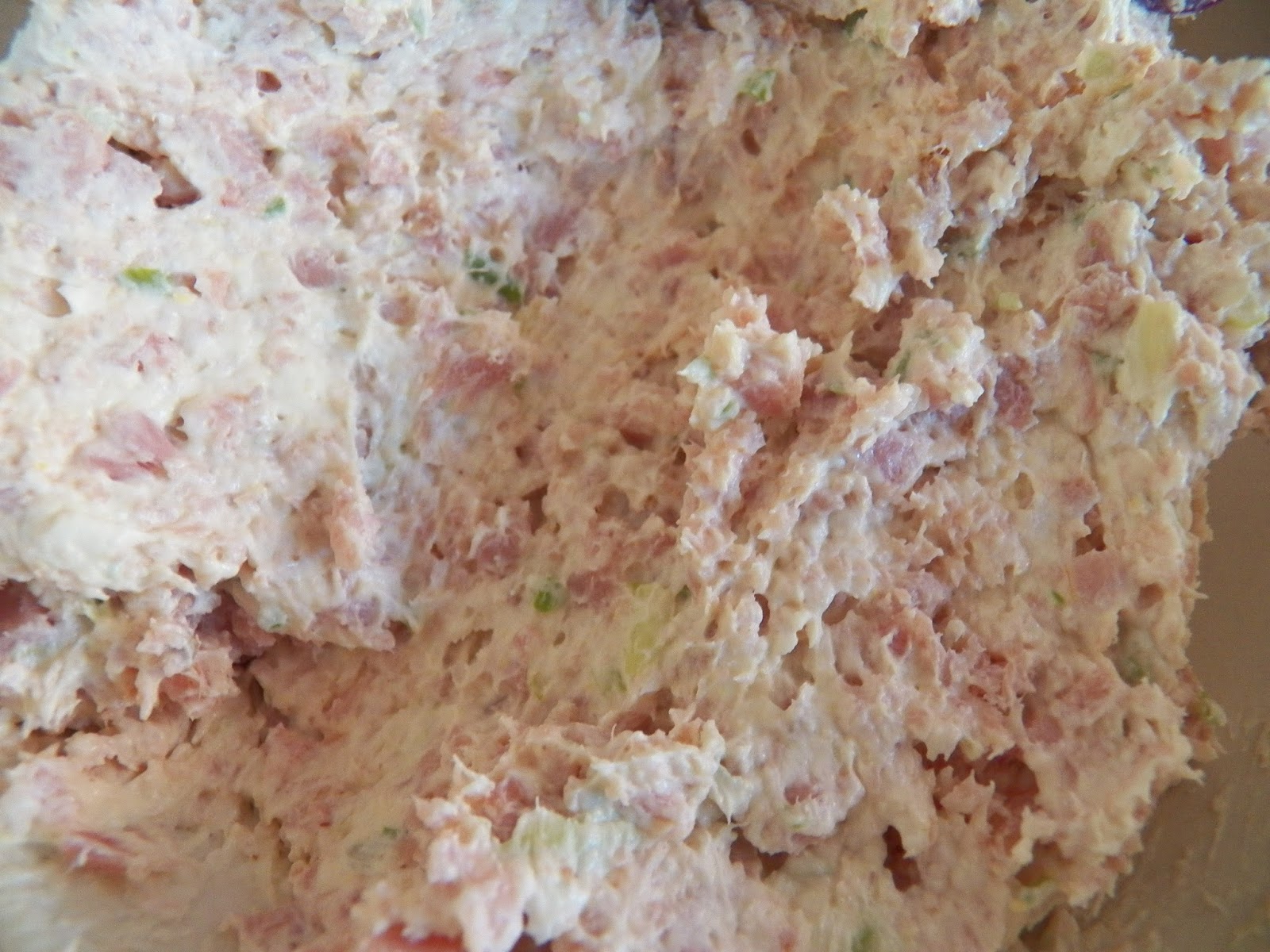 Retro Ham and Green Onion Pinwheels Sid's Sea Palm Cooking