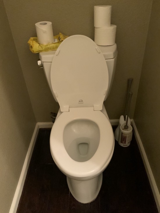 Under The Angsana Tree The case against always leaving the toilet seat