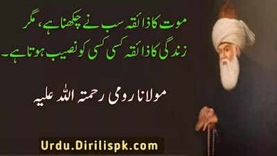 Rumi Quotes in Urdu Rumi Quotes in Urdu