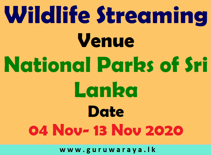 Sri Lanka Wild Life Streaming