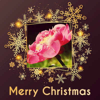 Merry Christmas free images download Merry Christmas free images download