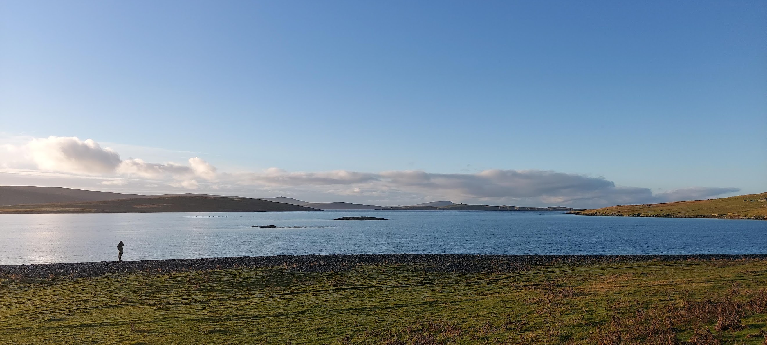 Mark James Pearson Shetland, '21 Scenes