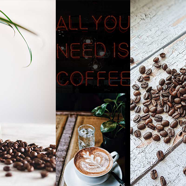 Best Coffee Blends A Great Morning Start