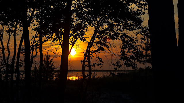 Sunset Nature Silhouette Wallpaper Sunset Nature Silhouette Wallpaper