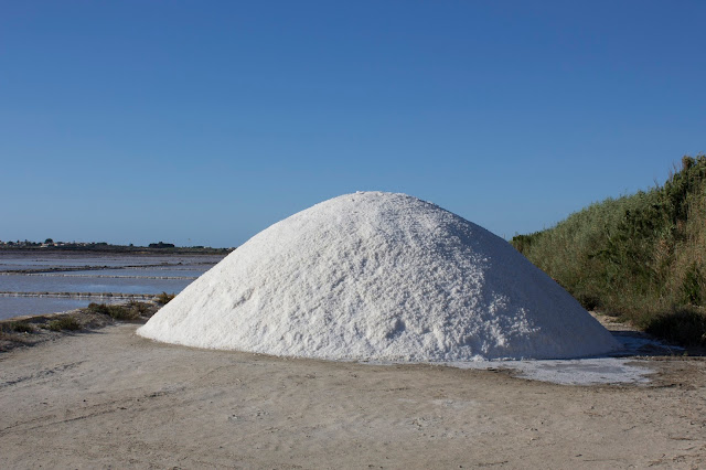 saline di marsala dello stagnone