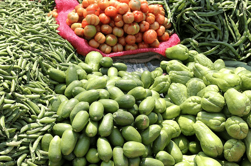 Strategi Bisnis Sayuran