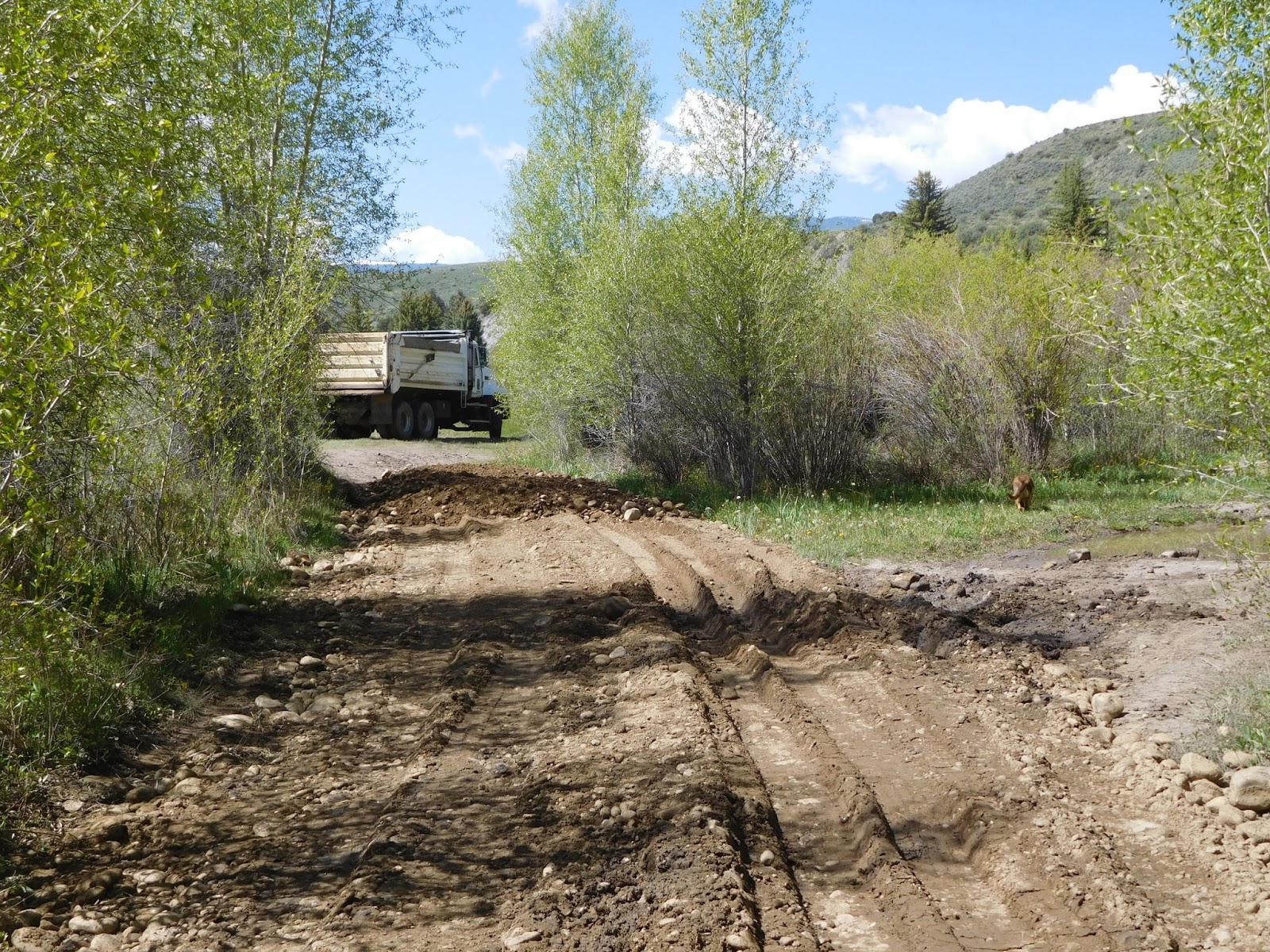 Blue Valley Acres Land Share