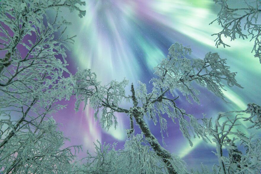 34 Reasons Why Lapland Is The Most Mythical Place To Celebrate Christmas 34 Reasons Why Lapland Is The Most Mythical Place To Celebrate Christmas