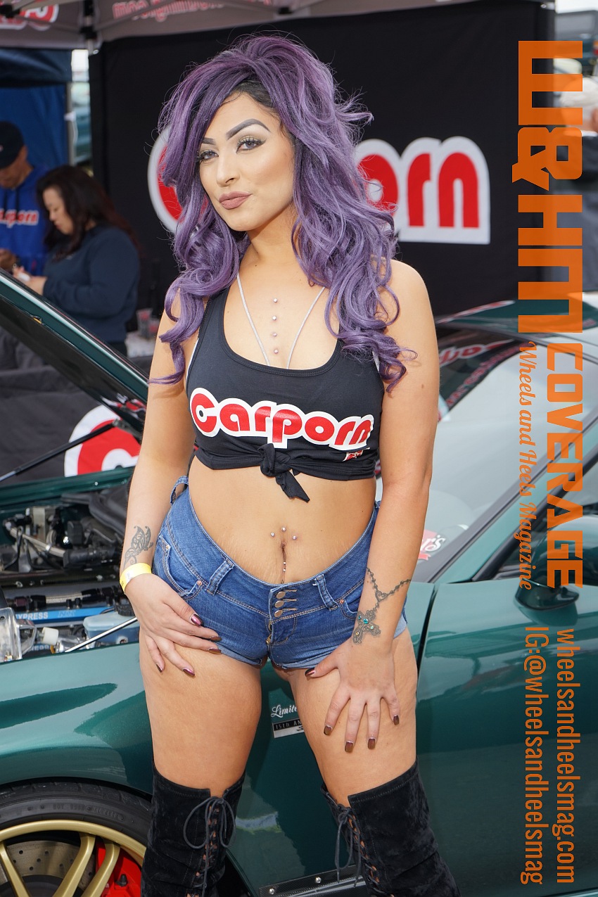 New Venue and New Excitement at Toyotafest 2017 Long Beach toyotafest