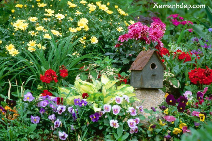 My Amazing Things Blog: Beautiful flower garden photos