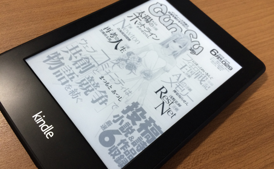 『月刊群雛』2016年06月号