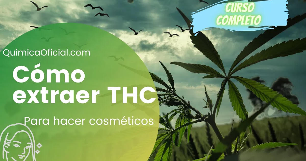 La manera más FÁCIL de EXTRAER THC de la Marihuana