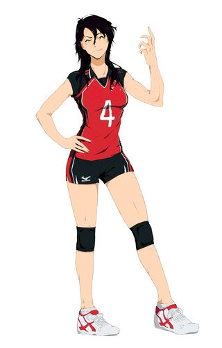 Volleyball Anime Girls Animoe