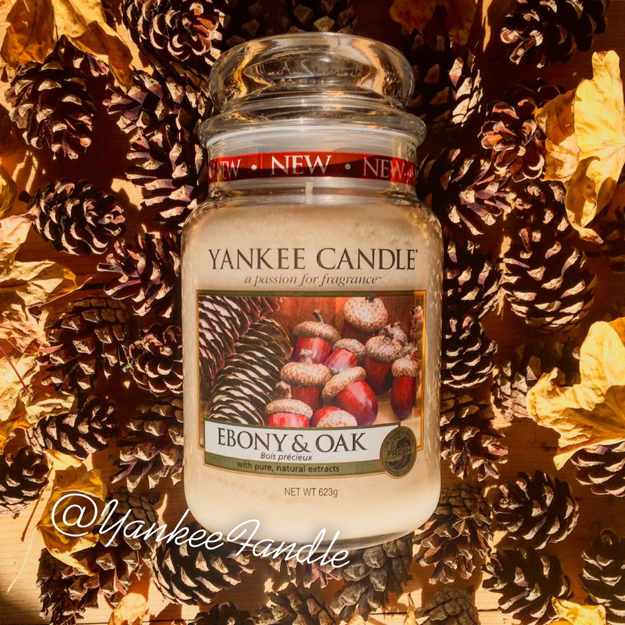 Yankee Fandle ScentSunday Ebony & Oak