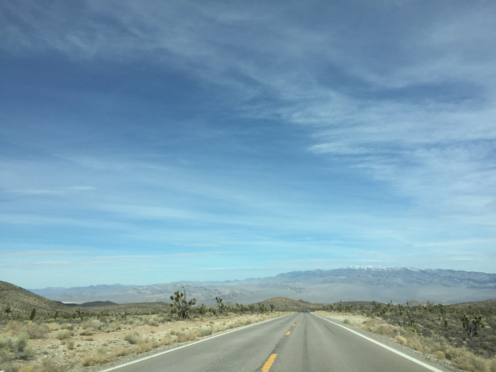 Lasketteluloma Las Vegasissa 2 Lasketteluloma Las Vegasissa 1