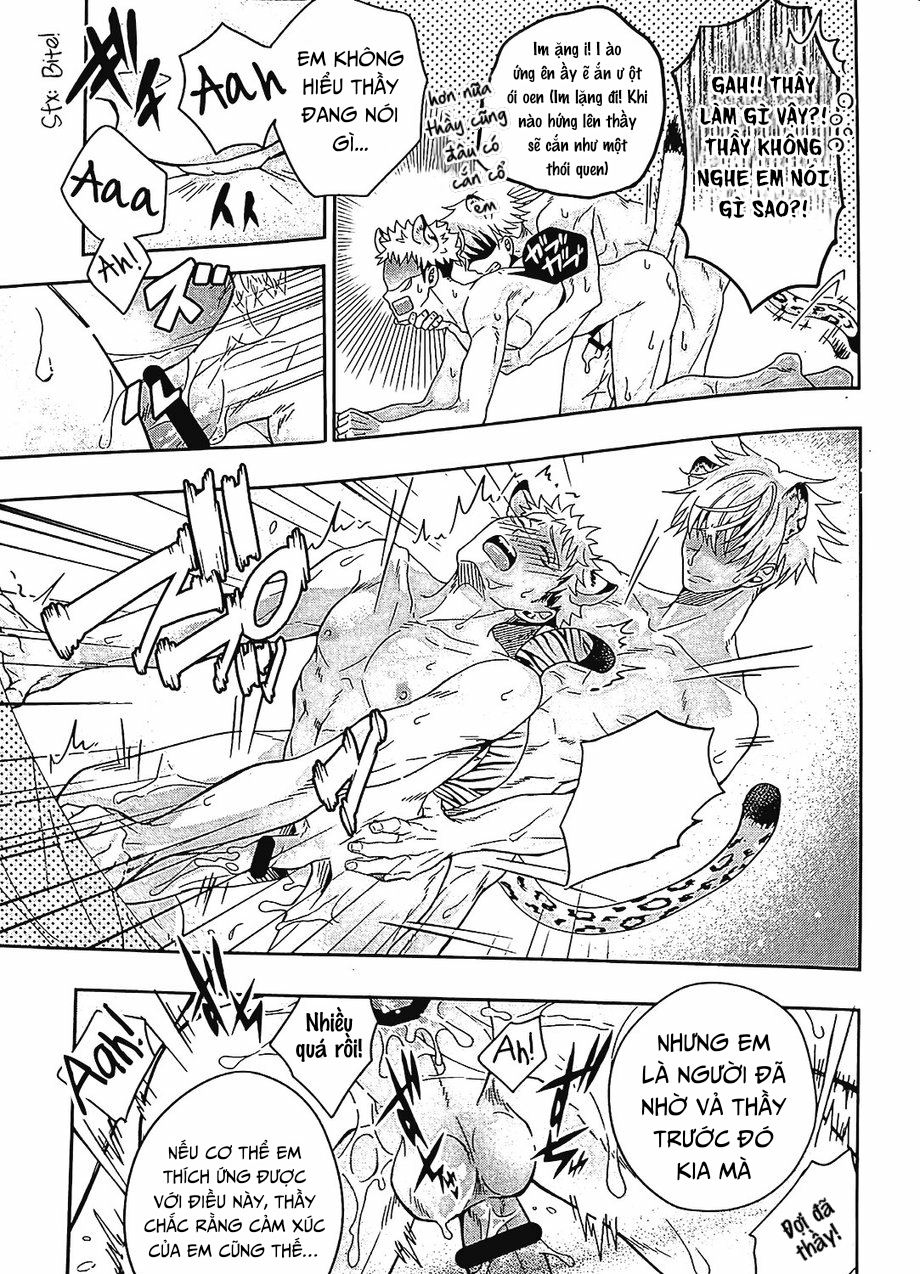 Đọc truyện Jujutsu Kaisen Omegaverse cat - Chapter 1